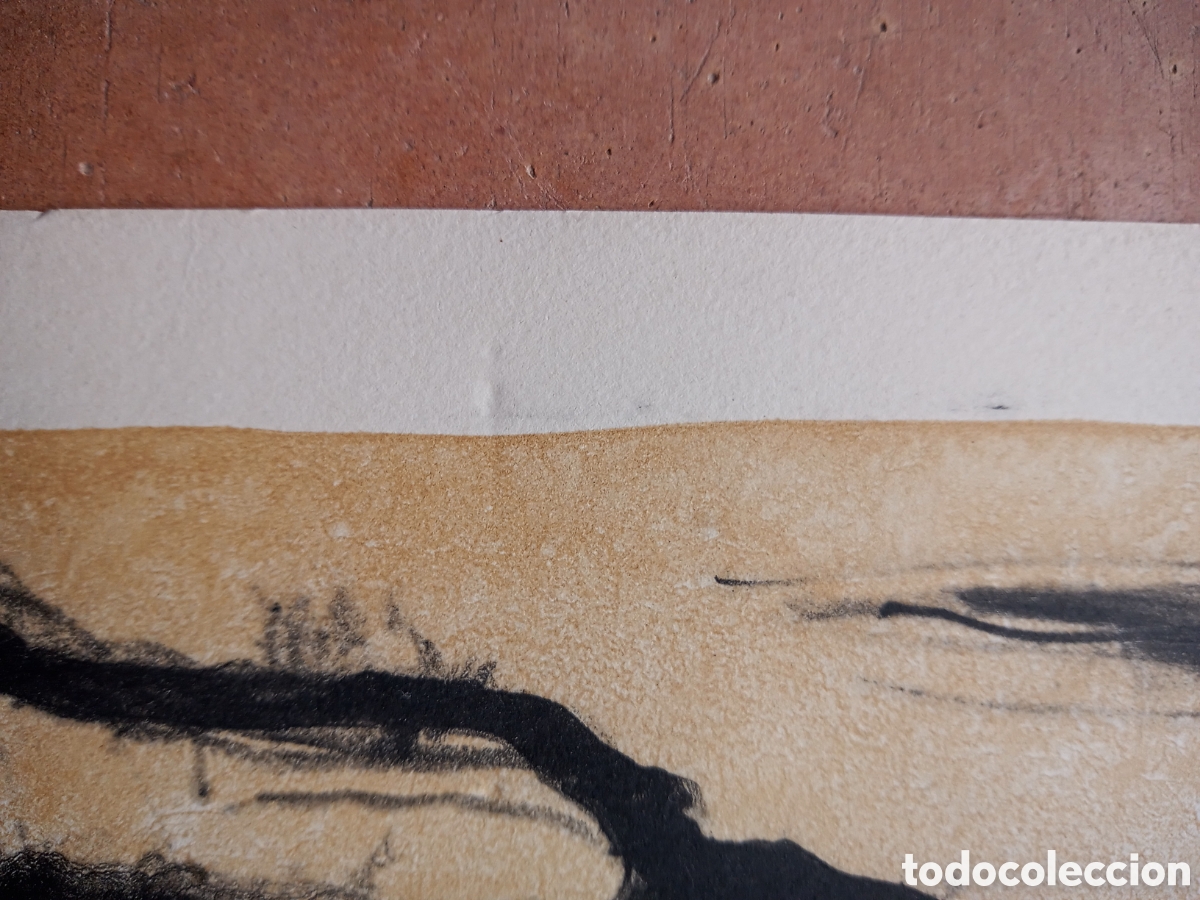 Arte: Mar&iacute;a Carbonero, litograf&icirc;a - Foto 7