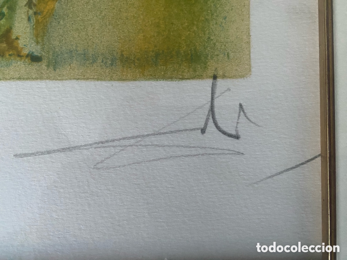 Arte: Litograf&iacute;a Original Dal&iacute; - Edici&oacute;n limitada - Foto 4