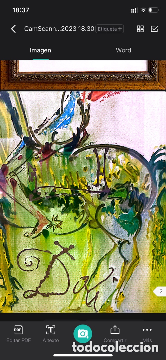 Arte: Litograf&iacute;a Original Dal&iacute; - Edici&oacute;n limitada - Foto 5