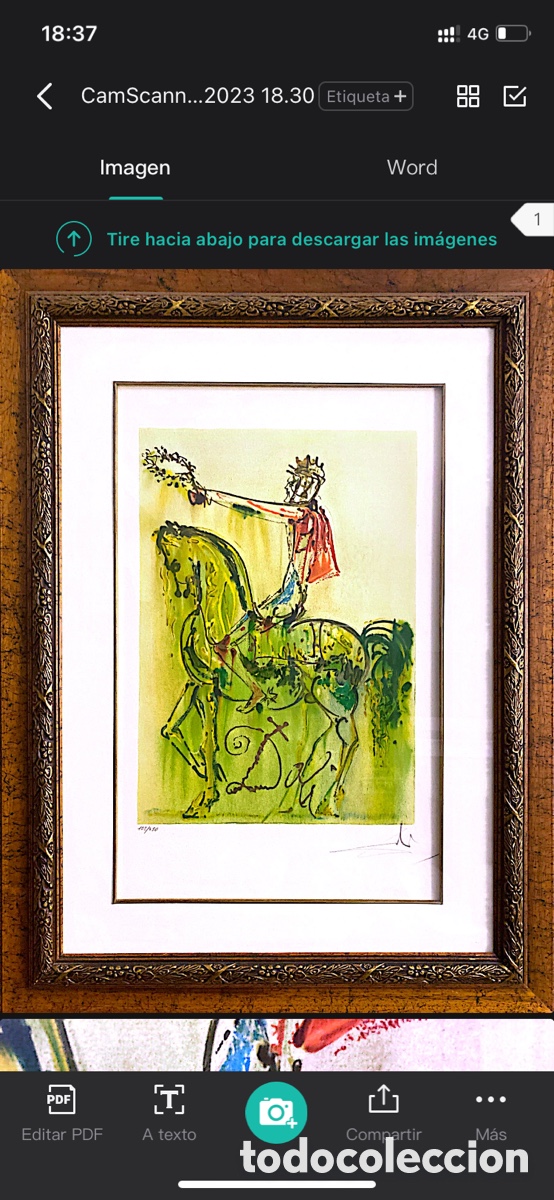 Arte: Litograf&iacute;a Original Dal&iacute; - Edici&oacute;n limitada - Foto 6