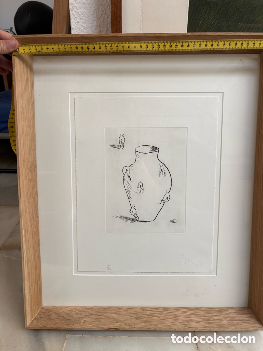 Arte: Miquel Barcel&oacute;. Litograf&iacute;a - Foto 3