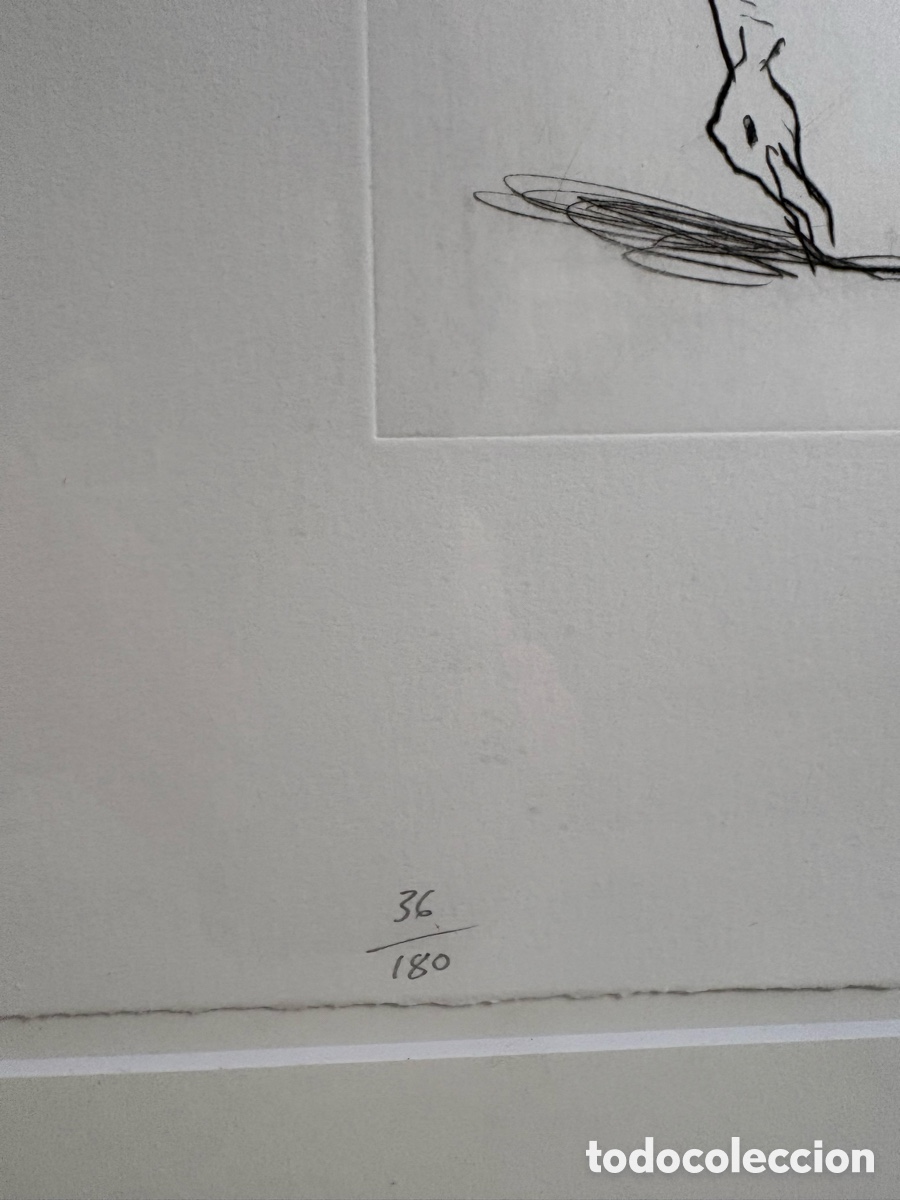 Arte: Miquel Barcel&oacute;. Litograf&iacute;a - Foto 8