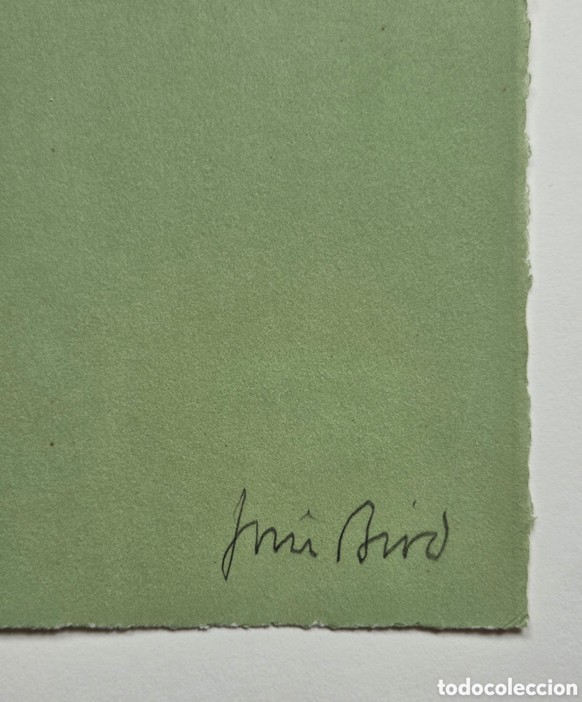 Arte: Jim Bird. Litograf&iacute;a 1977 - Foto 2