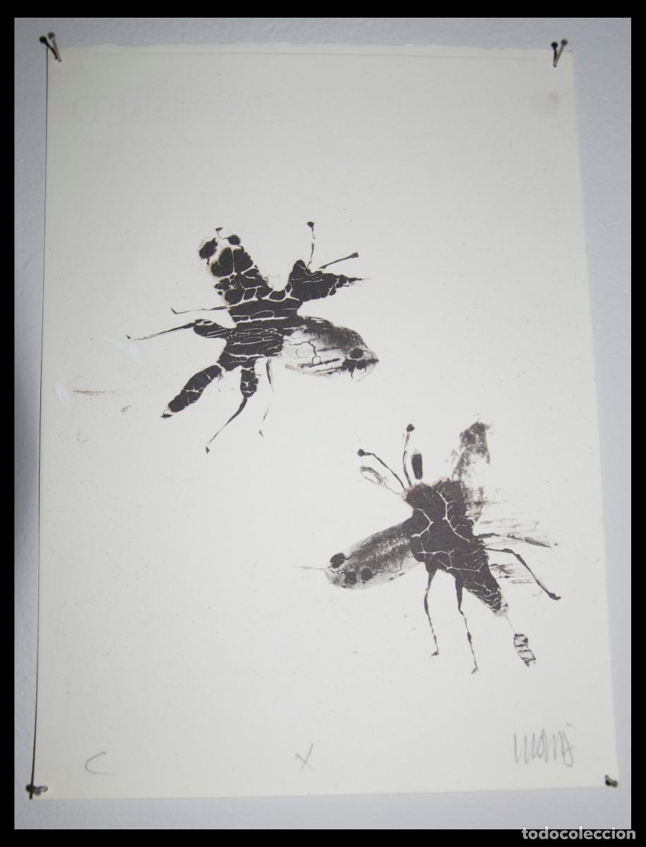 Kunst: litografia Llu&iacute;s Vil&agrave; i Vendrell - litografia Numerada - 31 cm x 21 cm -