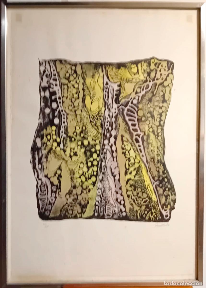 Art: litografia antoni cumella i serret litografia firmada original 90 x 60 cm . a&ntilde;o 1980