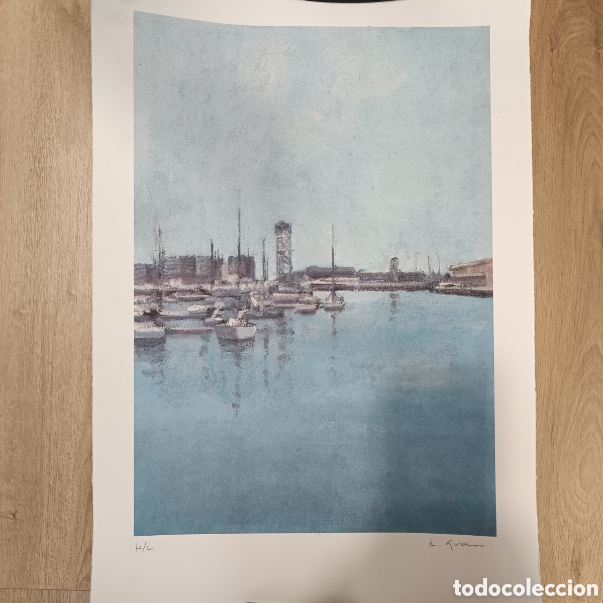 Arte: Litograf&iacute;a original de Alicia Grau certificada.