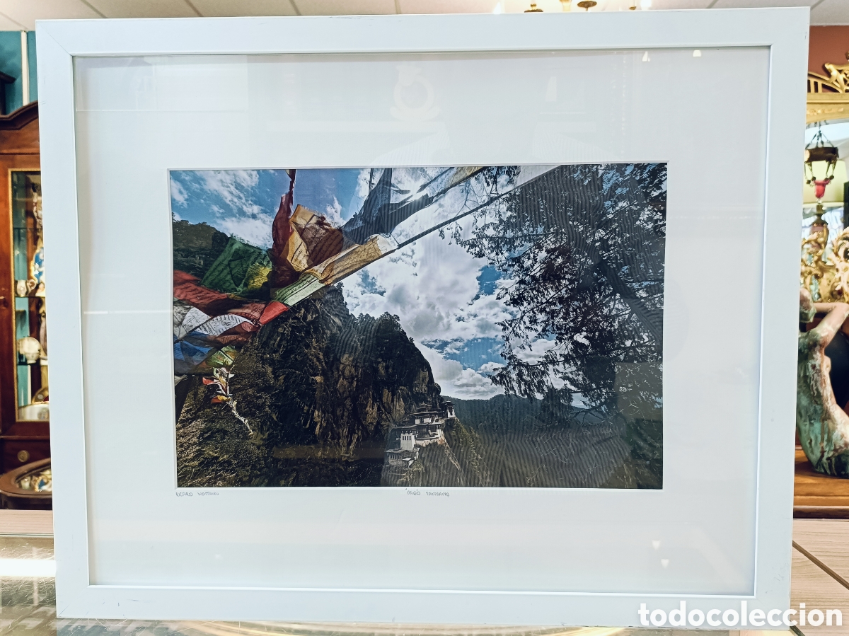 Arte: RICARD MATTHIEU. PATO TAKTSANG, edici&oacute;n Yellowkorner, completamente agotada, con Certificado.