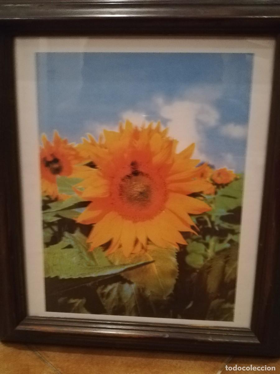 Arte: litografia de Los Girasoles de Van Gogh