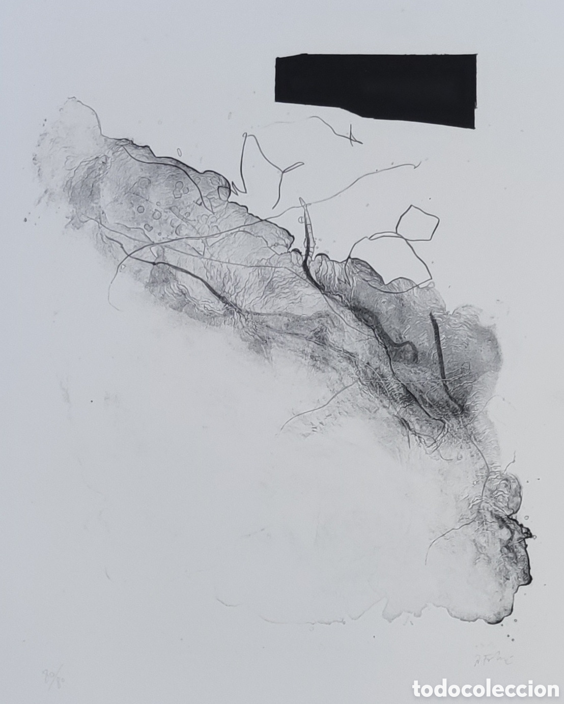 Arte: &Ntilde;aco Fabr&eacute;. Litograf&iacute;a. Original. Abstracci&oacute;n. Firmada y Numerada.