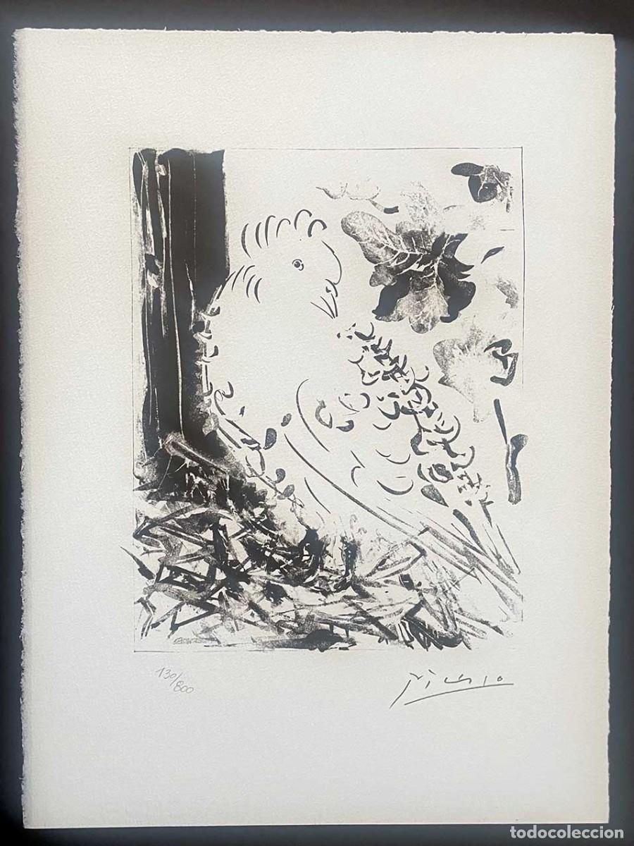 Arte: PABLO PICASSO - La paloma, serie Buffon
