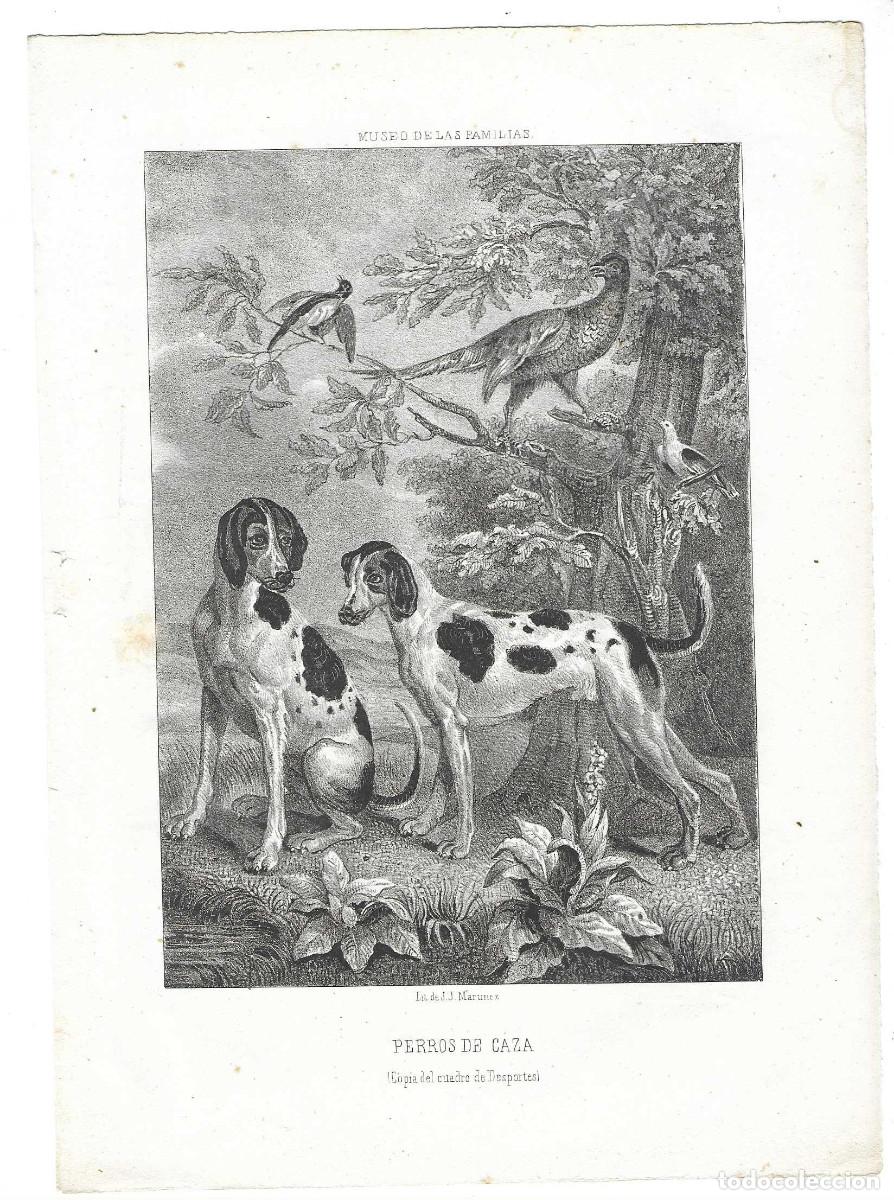 Arte: Perros de caza. Desportes. Litograf&iacute;a (entre 1843 y 1870)