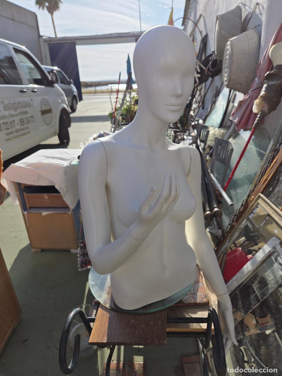 Arte: maniqui mujer de medio cuerpo