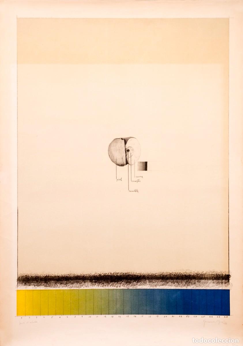 Arte: JOAN HERNANDEZ PIJUAN - LITOGRAF&Iacute;A FIRMADA - 1971