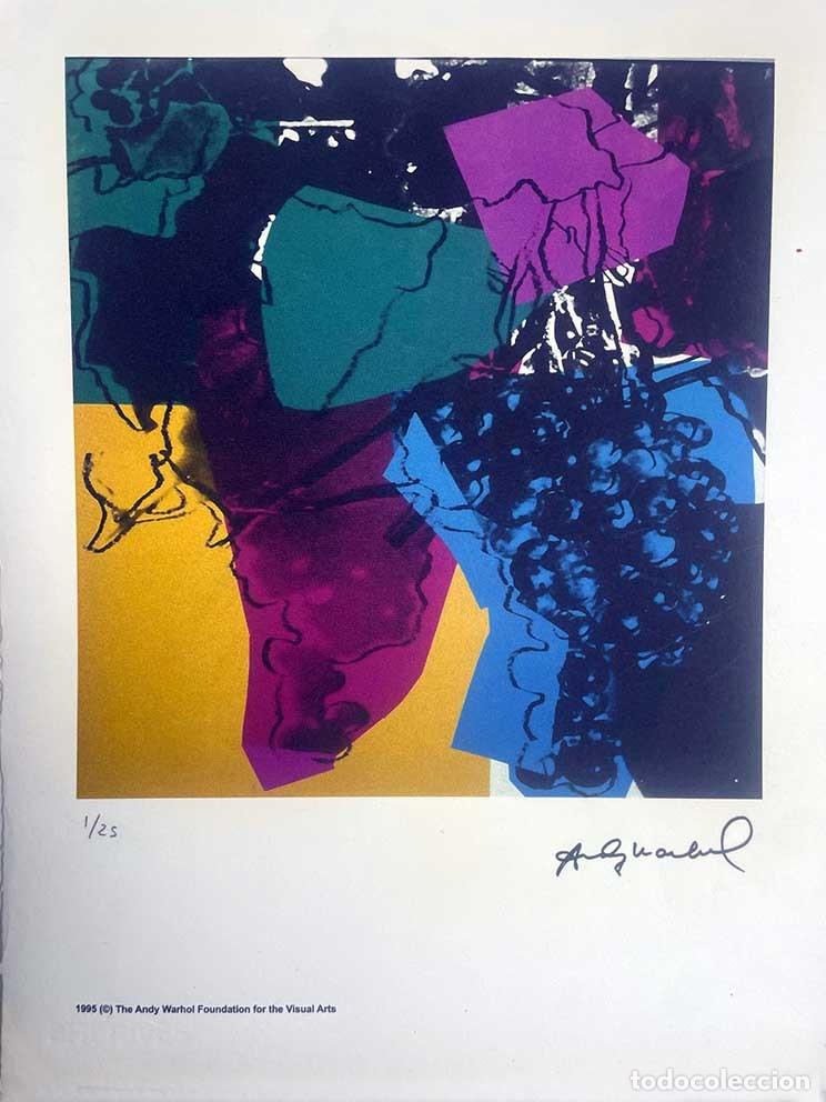 Arte: Andy Warhol - Litograf&iacute;a edicion limitada 25 ejemplares