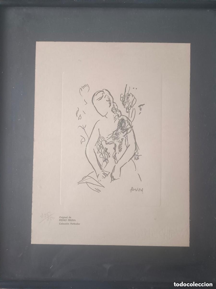 Art: Litografia Pere Pruna, enmarcada
