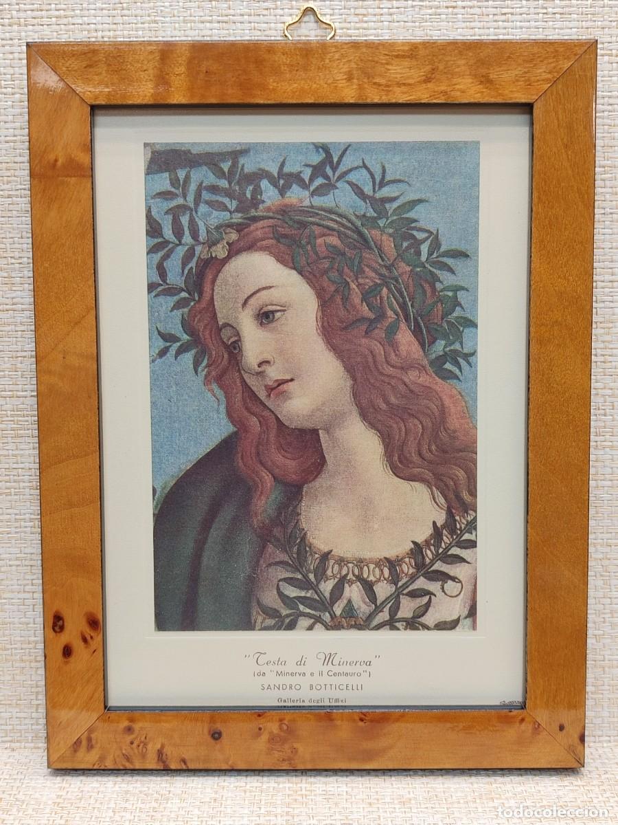 Arte: Testa di Minerva de Sandro Botticelli. Roberto Hoesch 1940, Cuadro