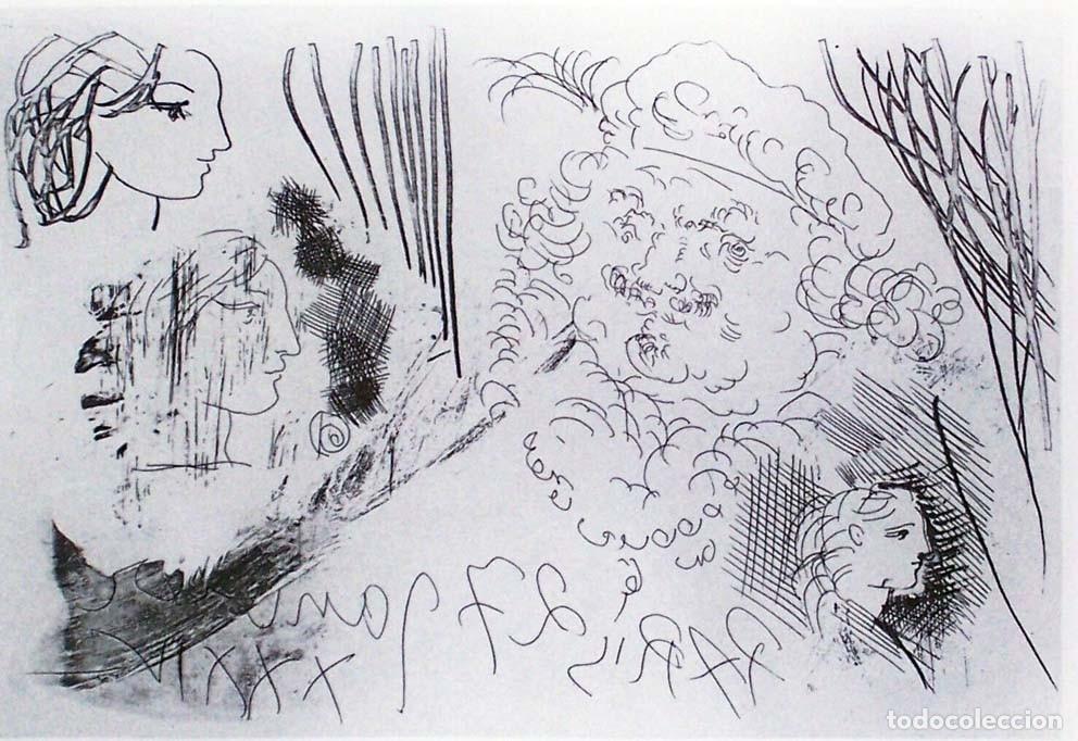 Arte: PABLO PICASSO - SUITE VOLLARD - Ed. Hatje 1956.