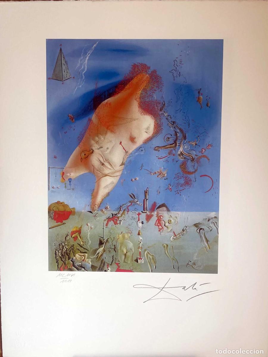 Arte: SALVADOR DALI -Litograf&iacute;a sobre papel arte, firmada a en plancha y numerada a mano