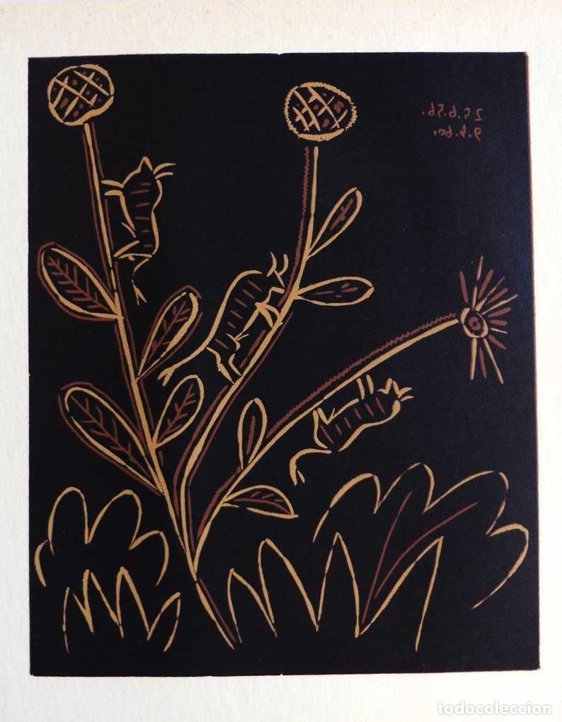 Arte: PABLO PICASSO - Reproduccion litografica de linoleo original. 37 x 32 cm