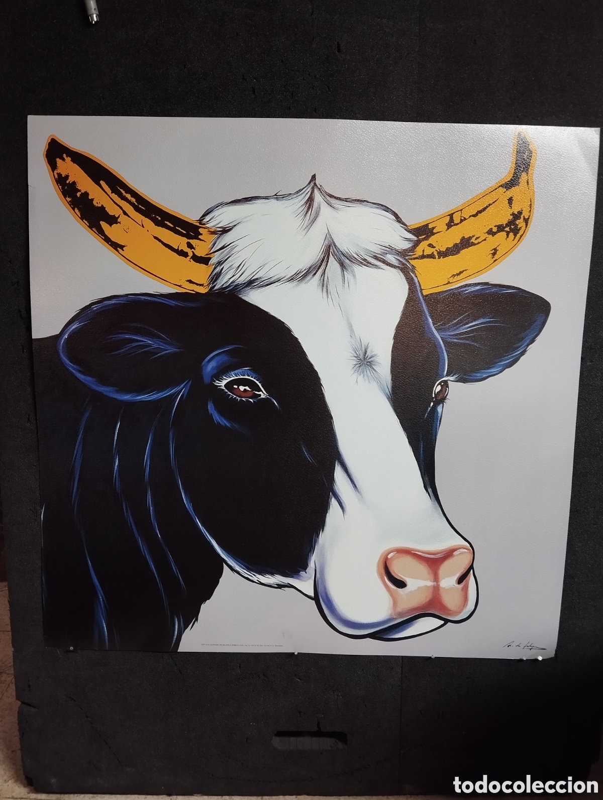 Arte: Litograf&iacute;a sobre vinilo rugoso de Antonino de Felipe 82x82