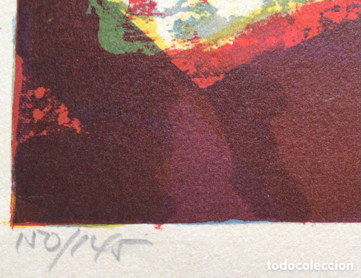 Arte: Litograf&iacute;a original Miguel Ibarz - Foto 6