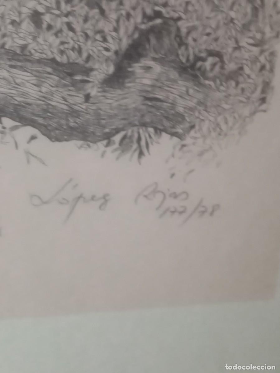 Arte: GRAN POSTEL LITOGRAFIA LOPEZ ROJA - Foto 2