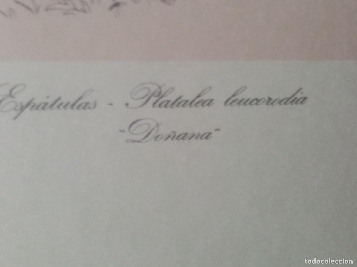 Arte: GRAN POSTEL LITOGRAFIA LOPEZ ROJA - Foto 3