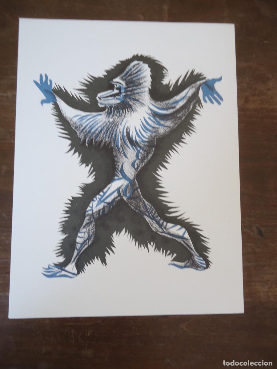 Kunst: Jean Lur&ccedil;at. G&eacute;ographie animale. Singe Andalou. Litograf&iacute;a en papel velin.