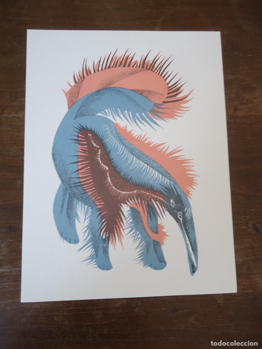Art: Jean Lur&ccedil;at. G&eacute;ographie animale. Fourmilier des capucines. Litograf&iacute;a en papel velin.