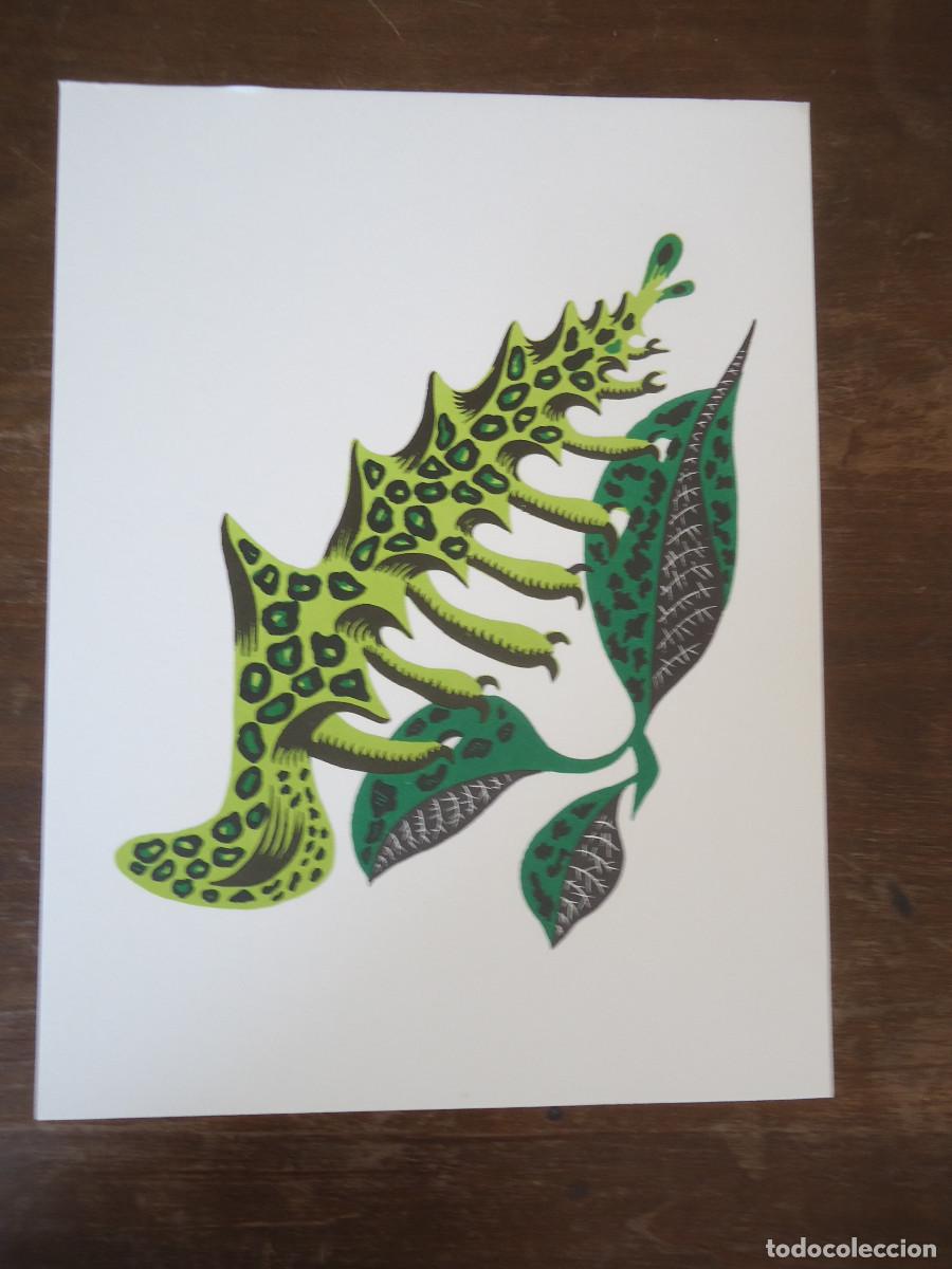 Kunst: Jean Lur&ccedil;at. G&eacute;ographie animale. Chenvilee de Coree. Litograf&iacute;a en papel velin.