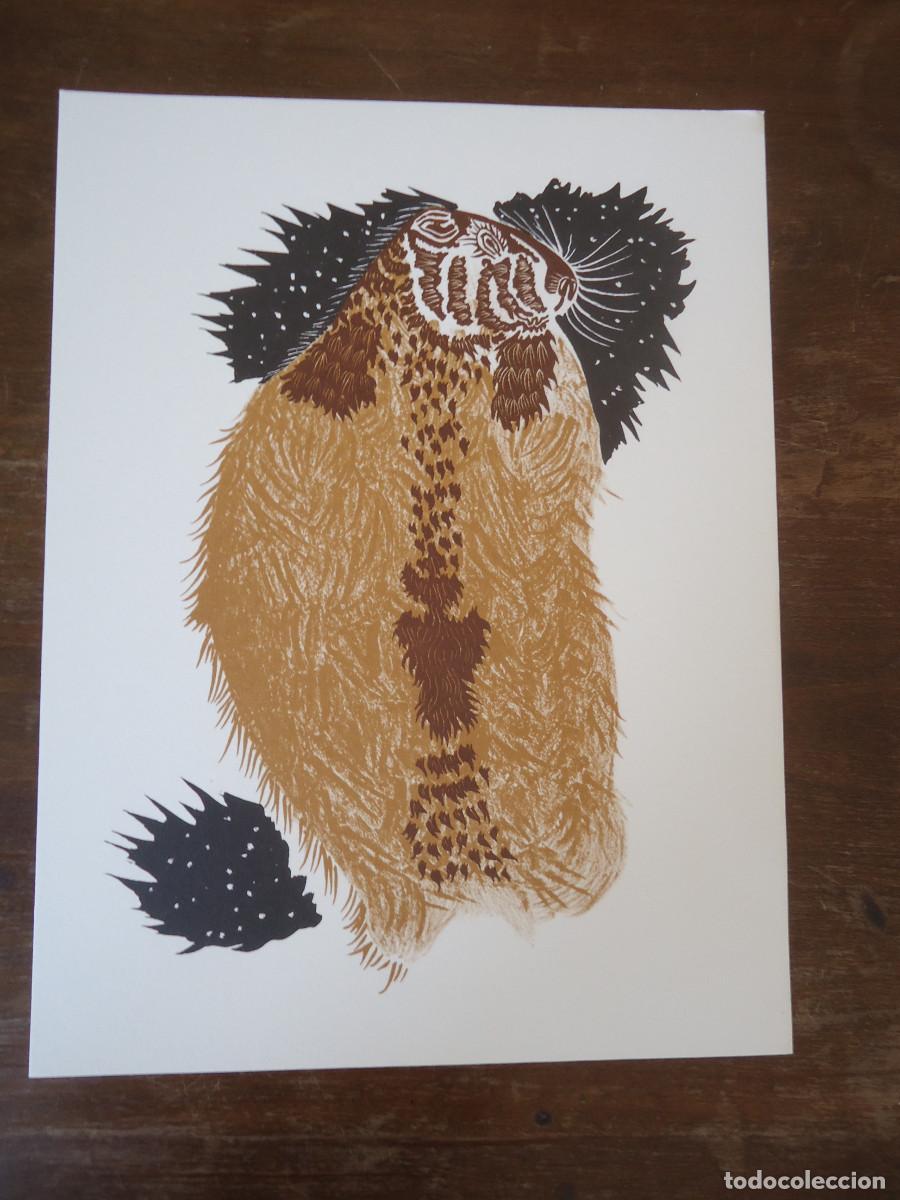 Art: Jean Lur&ccedil;at. G&eacute;ographie animale. Marmotte d&acute;Anzeindaz. Litograf&iacute;a en papel velin.