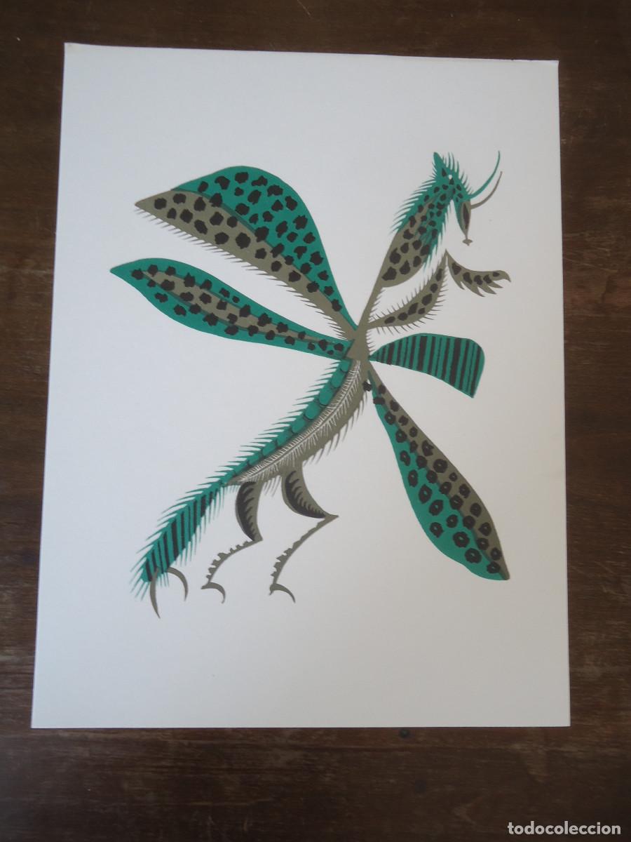 Art: Jean Lur&ccedil;at. G&eacute;ographie animale. Libellule de Castille. Litograf&iacute;a en papel velin.