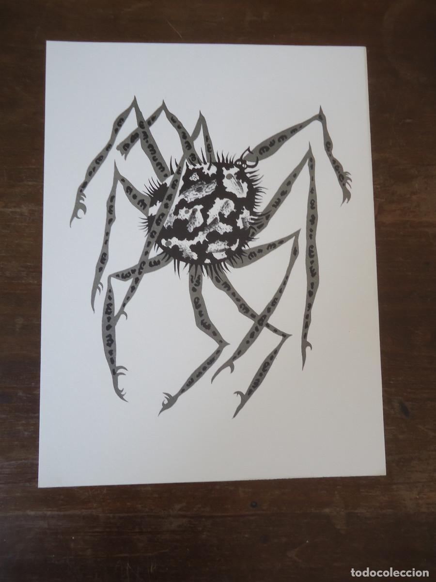 Kunst: Jean Lur&ccedil;at. G&eacute;ographie animale. Araignee de Nuremberg. Litograf&iacute;a en papel velin.