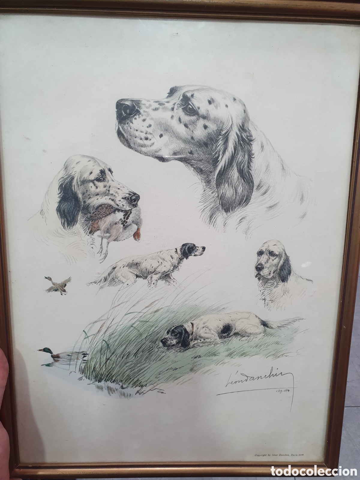 Art: Litografia coloreada Leon Danchin. Perros de caza. (L98)