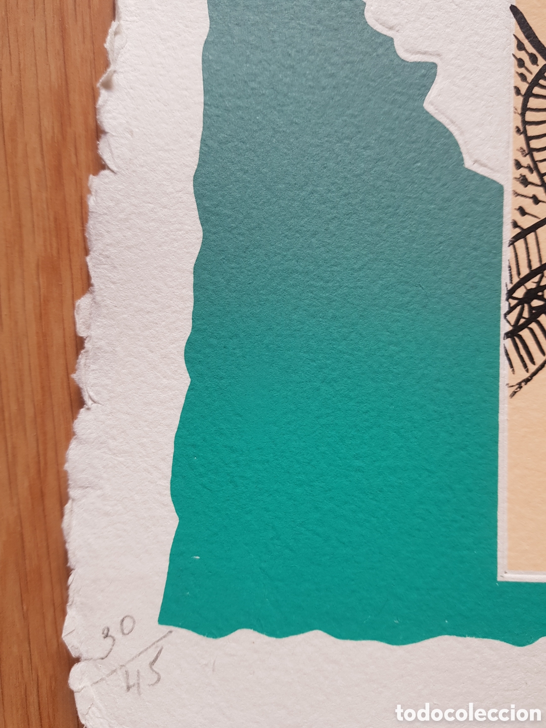 Arte: Litografia numerada rosa Yag&uuml;e - Foto 2