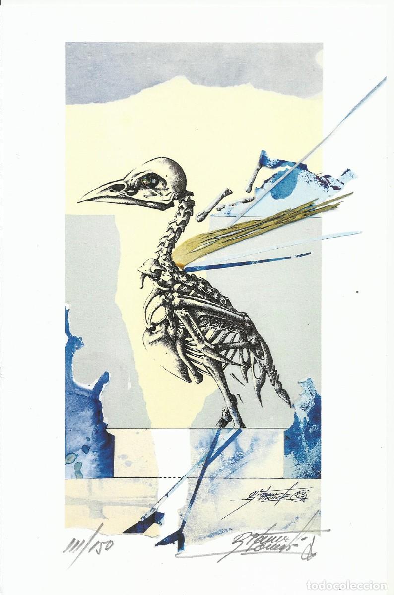 Arte: Ricard Jord&agrave;. Litograf&iacute;a firmada y numerada 111/150. 2023. Esqueleto de ave. 26x17 cm.