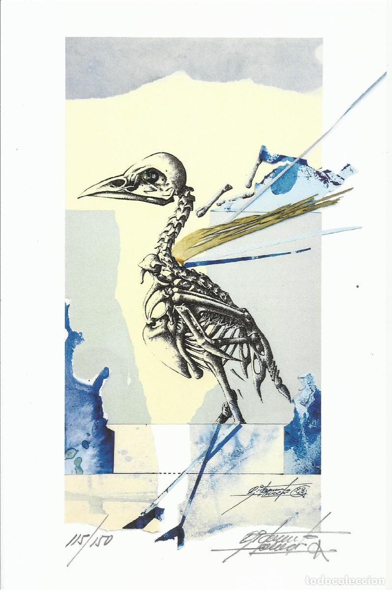 Arte: Ricard Jord&agrave;. Litograf&iacute;a firmada y numerada 115/150. 2023. Esqueleto de ave. 26x17 cm.
