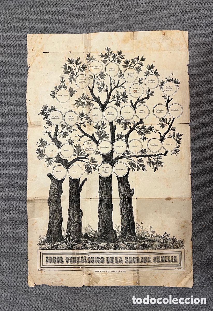 Arte: &Aacute;RBOL GENEAL&Oacute;GICO DE LA SAGRADA FAMILIA.. Francisco de Paula Puigdollers y Pou (fin Siglo XIX)