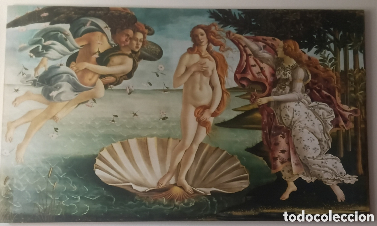 Arte: The Birth of Venus&rdquo; by Botticelli