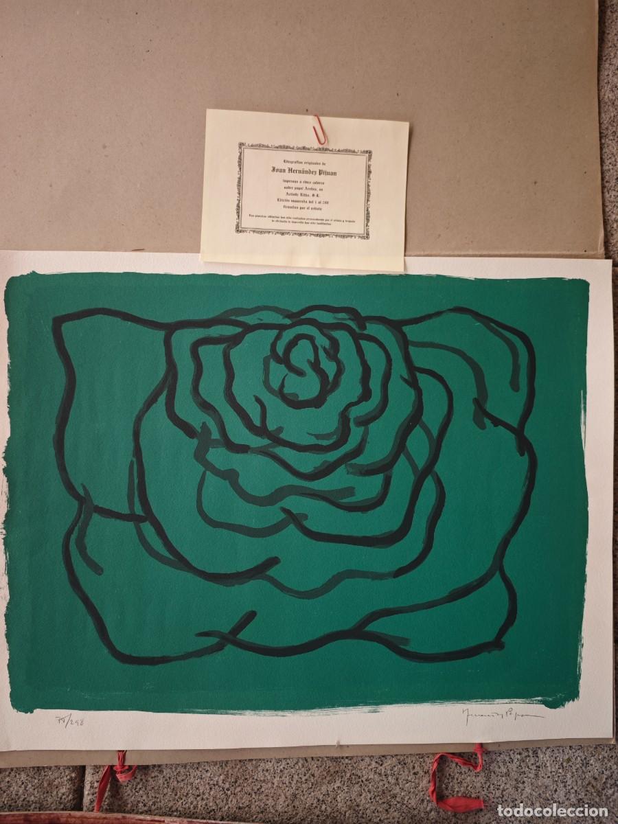 Arte: Litograf&iacute;a Original Joan Hern&aacute;ndez Pijuan - &rdquo;Rosa&rdquo; (Firmada y Numerada)