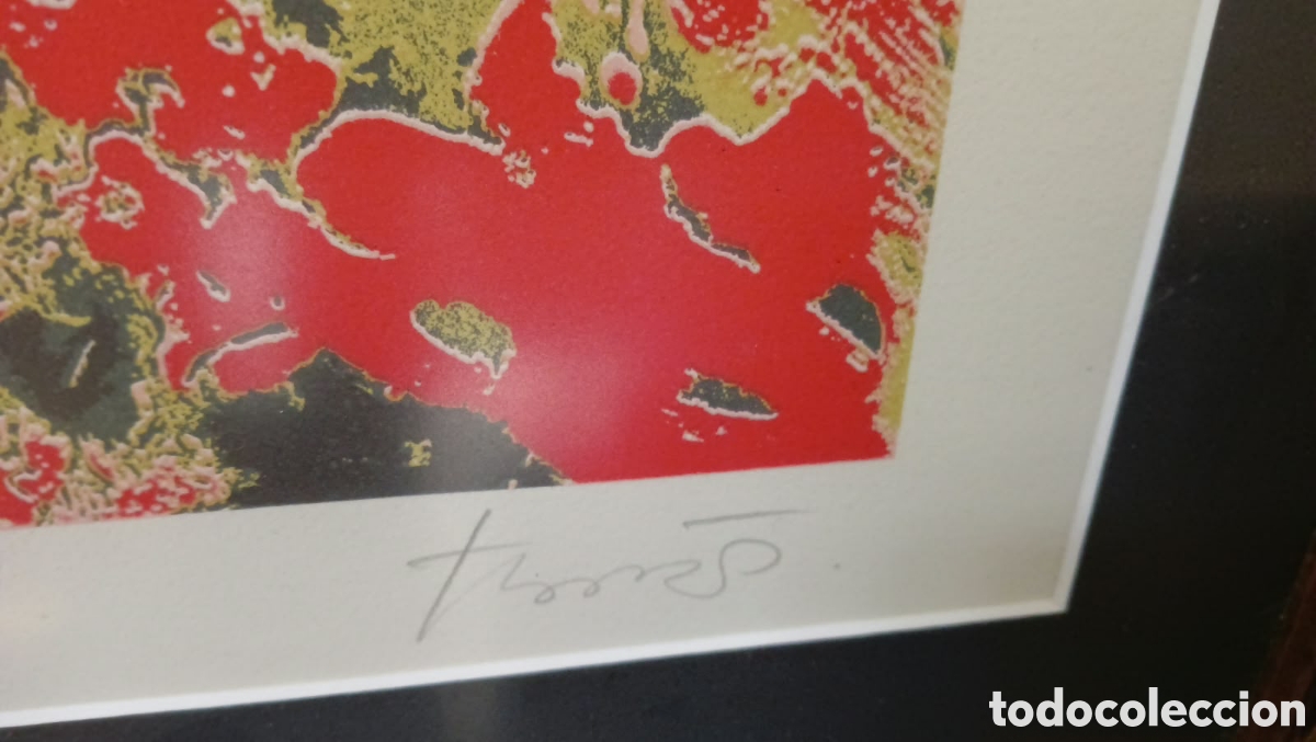 Arte: Litograf&iacute;a firmada y numerada - Foto 3