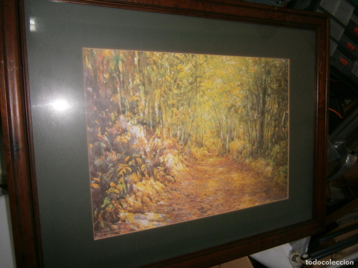 Arte: ANTIGUA ACUARELA LITOGRAFIA CIRO MANUEL (PAISAJE CANARIO)