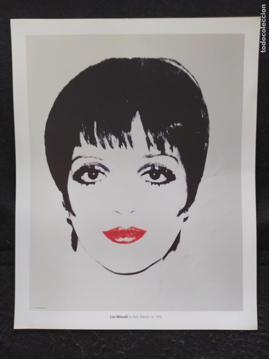 Arte: LIZA MINELI ANDY WARHOL 43X34 CMS CARTEL POSTER
