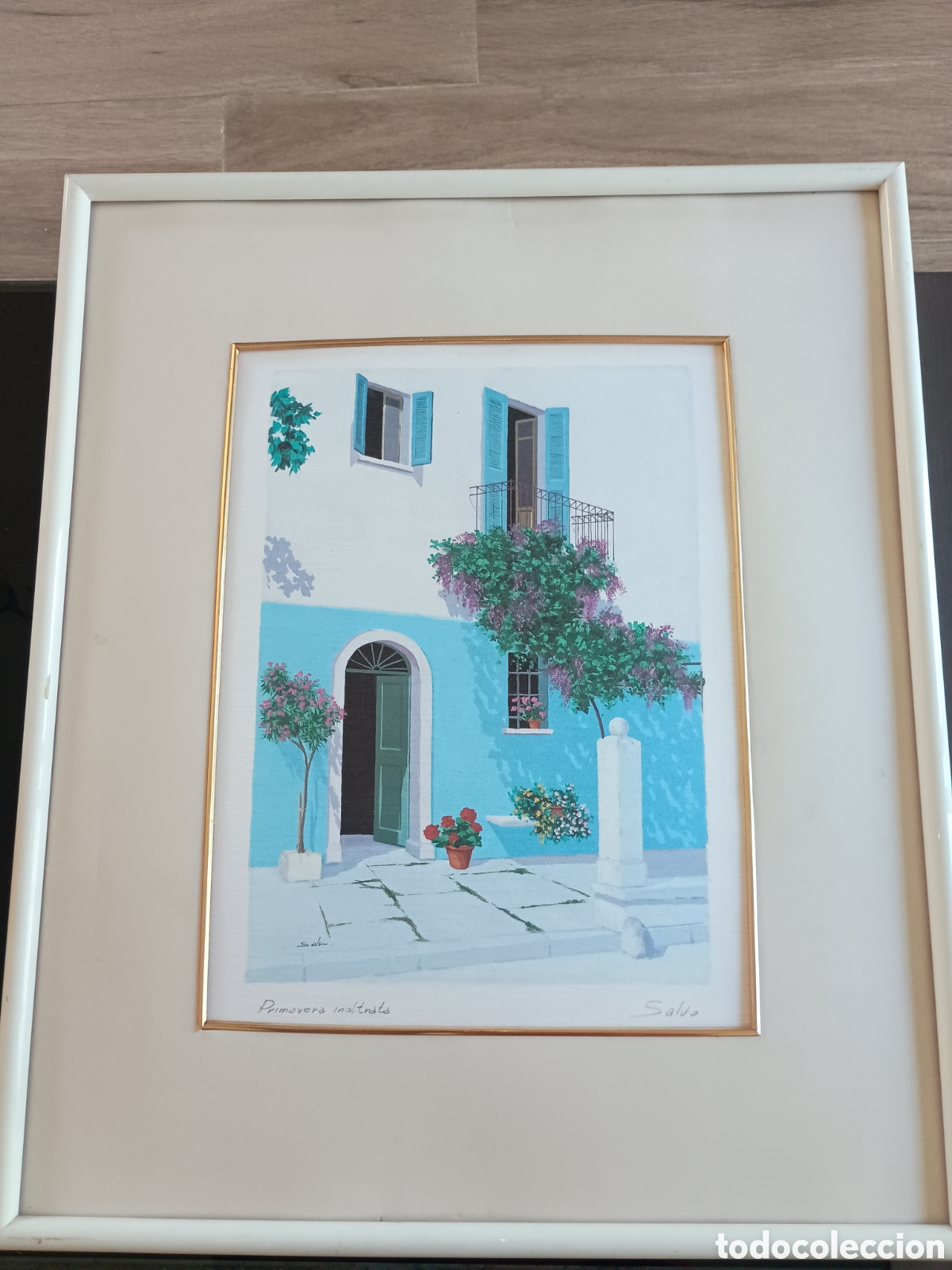 Arte: Cuadro acuarela o litograf&iacute;a t&iacute;tulo primavera imoltrata firmado por salvo