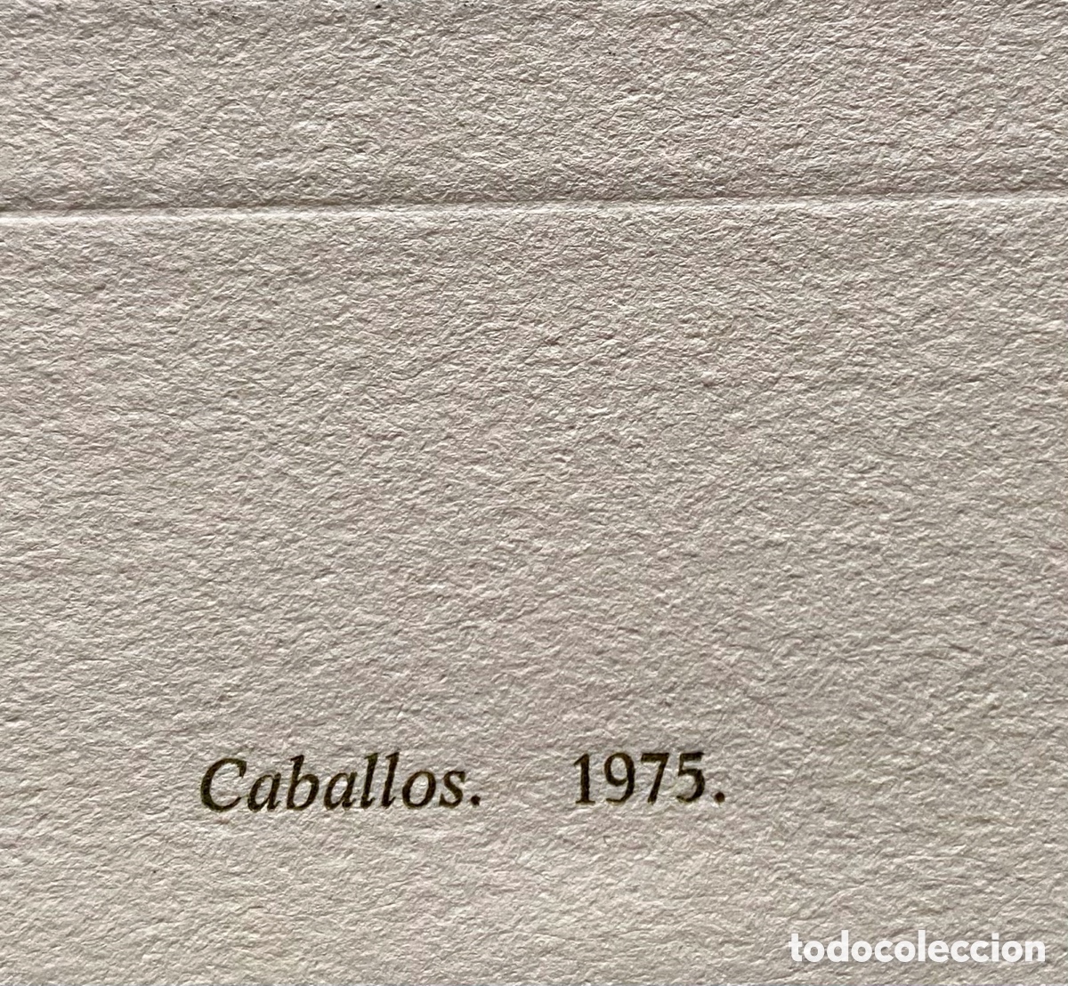 Arte: Litograf&iacute;a Pedro Sobrado Caballos - Foto 7