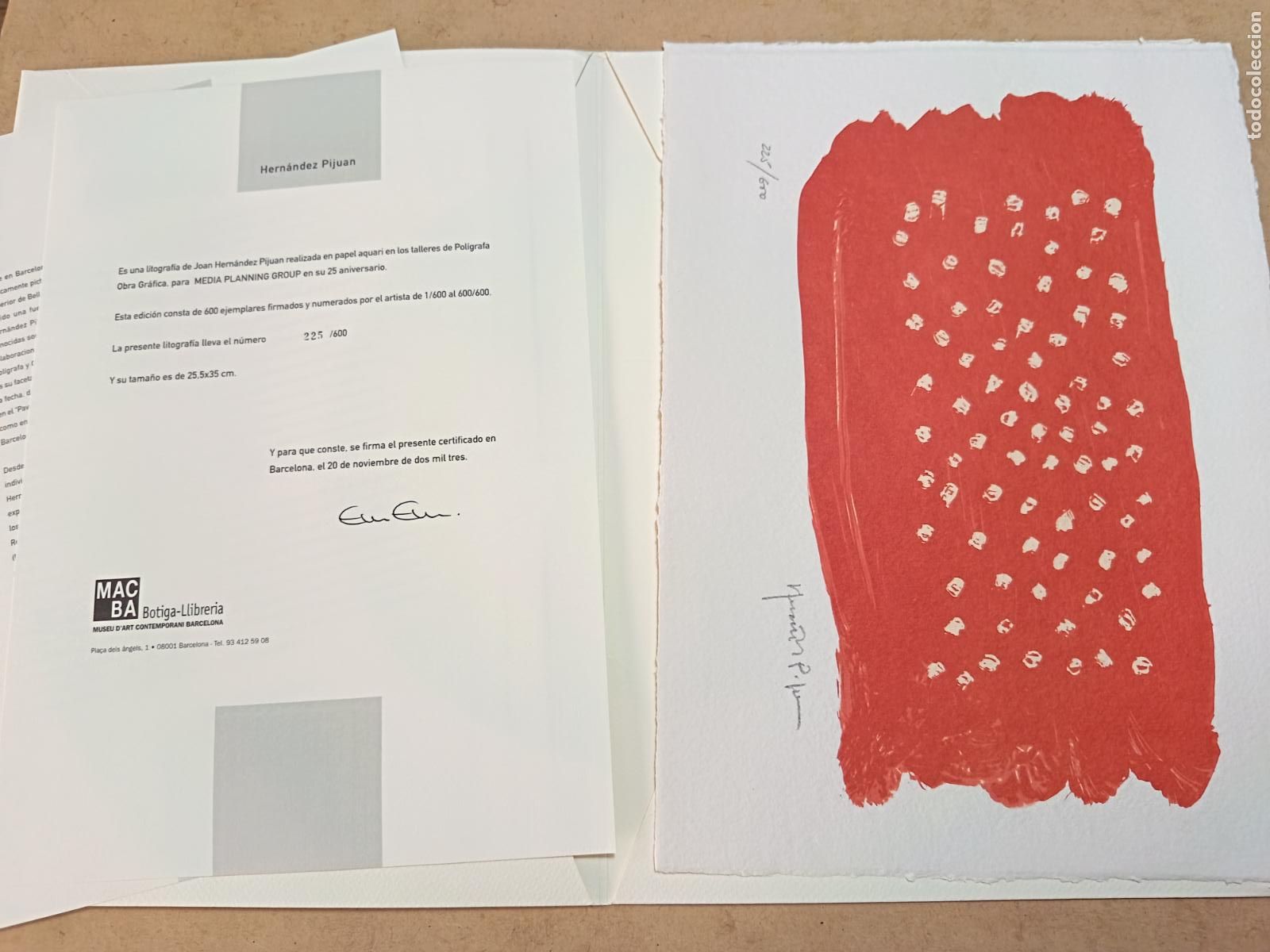 Arte: LITOGRAFIA DE JOAN HERNANDEZ PIJUAN. FIRMADA Y NUMERADA. 225/600. 25 X 35 CM CON SU CARPETA.