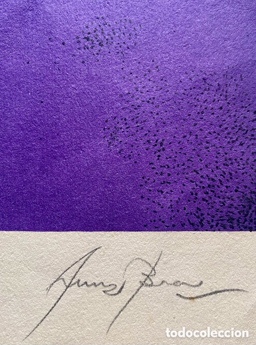 Arte: Litograf&iacute;a original Arranz Bravo - Foto 6