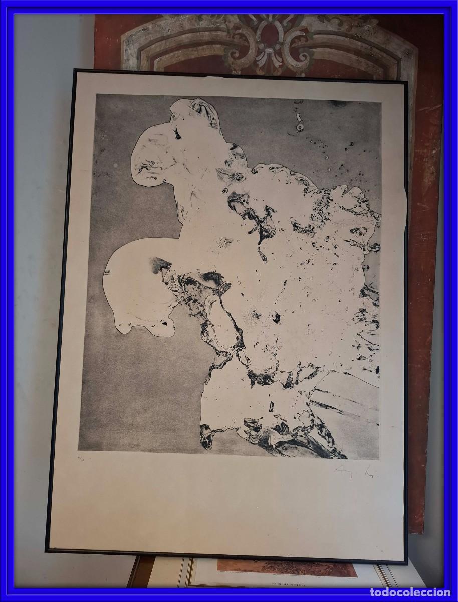 Arte: LITOGRAFIA NUMERADA 4/50 Y ENMARCADA