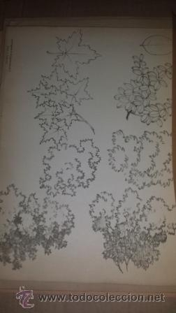 Arte: W.SCHNEEBELI . PROF. N&ordm; 3 - Foto 2