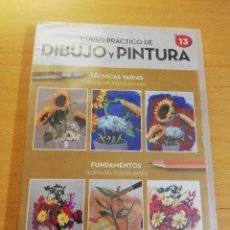Arte: CURSO PRÁCTICO DE DIBUJO Y PINTURA Nº 13 (TÉCNICAS VARIAS / FUNDAMENTOS) DVD PRECINTADO